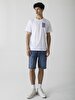 Elrond Sli̇m Jean Bermuda