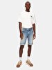 Darwin Orta Bel Jean Bermuda
