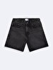 Lizzie Regular Jean Shorts