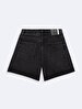 Lizzie Regular Jean Shorts