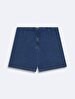 Liviya Shorts Jean Short Skirt