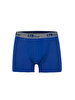 Blue Boxer