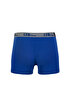 Blue Boxer