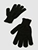 Black Glove