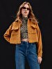 Velvet Brown Jacket