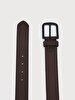 Brown Belt