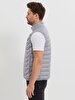 Grey Vest
