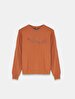 Straight Crew Neck Long Sleeve Basic Orange Sweatshirt