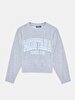 Boston With Print Crew Neck Long Sleeve Grey Sweatshirt