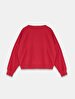 Red Sweatshirt