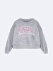Crew Neck Long Sleeve Grey Sweatshirt