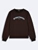 Print Crew Neck Long Sleeve Oversized Fit Brown Sweatshirt