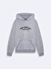 Surface With Print With Hood Without Zipper Regular Fit Grey Sweatshirt