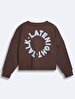 Surface With Print With Hood Without Zipper Boxy Fit Brown Sweatshirt