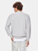 Straight Crew Neck Long Sleeve Regular Fit Grey Sweatshirt
