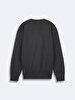 Straight Crew Neck Long Sleeve Regular Fit Anthracite Sweatshirt