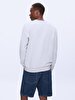 Straight Crew Neck Long Sleeve Grey Sweatshirt