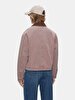 Long Sleeve Zipper Closing Collar Velvet Pink Jacket