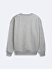 Long Sleeve Crew Neck Print With Print Grey Sweatshirt