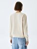 Dust Sweatshirt