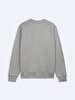 Grey Sweatshirt