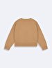 Long Sleeve Crew Neck Basic Brown Sweatshirt