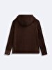 Zipper Closing Regular With Hood Polar Straight Fit Brown Sweatshirt