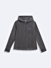 Zipper Closing Regular With Hood Polar Straight Fit Grey Sweatshirt