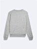 Grey Sweatshirt