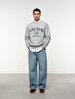 Long Sleeve Crew Neck Print With Print Grey Sweatshirt