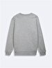 Grey Sweatshirt
