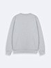 Grey Sweatshirt