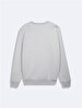 Long Sleeve Sign With Print Basic Grey Sweatshirt
