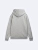 Long Sleeve With Hood Print With Print Grey Sweatshirt