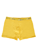 Yellow Boxer