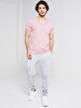Crew Neck Basic Short Arm Regular Pink T-shirt