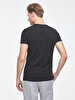 Crew Neck Basic Short Arm Slim Black T-shirt