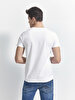 Crew Neck Basic Short Arm Regular White T-shirt