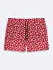 Red Sea Shorts