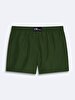 Green Sea Shorts