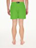 Green Sea Shorts