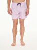 Lilac Sea Shorts