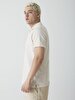 Polo Basic Short Arm Regular Beige T-shirt