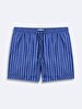 Pattern Regular Dark Blue Sea Shorts