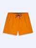 Basic Regular Orange Sea Shorts