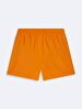 Basic Regular Orange Sea Shorts