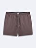 Basic Woven Grey Sea Shorts
