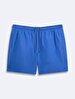 Basic Woven Blue Sea Shorts