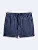 Basic Woven Green Sea Shorts