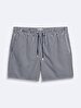Striped Print Regular Navy Sea Shorts